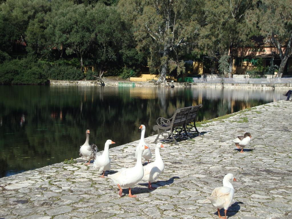 Sea Breeze Apartment Sami  Zewnętrze zdjęcie